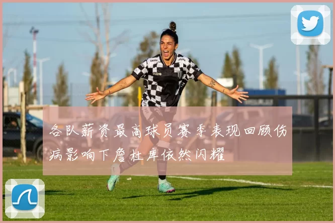 各队薪资最高球员赛季表现回顾伤病影响下詹杜库依然闪耀