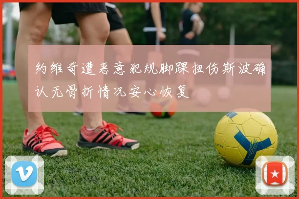 约维奇遭恶意犯规脚踝扭伤斯波确认无骨折情况安心恢复